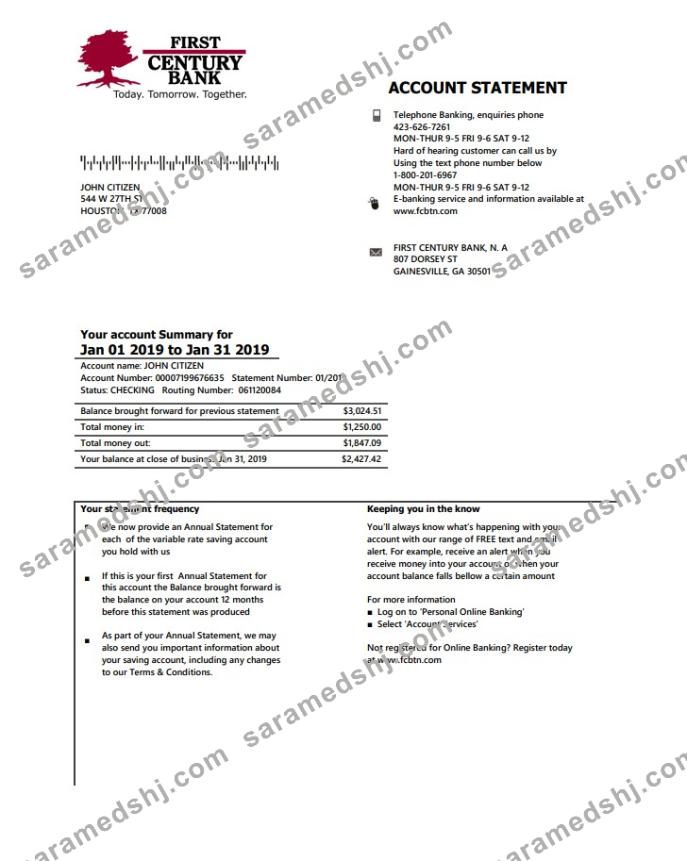 USA Georgia Gainesville First century bank statement